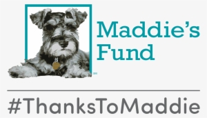 Maddies Fund