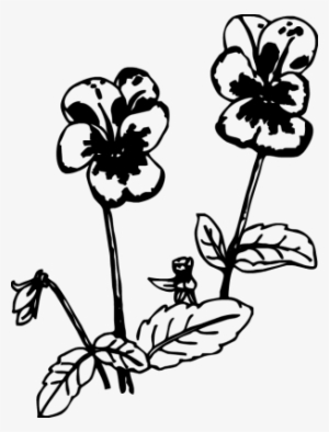 Pansy Clipart - Black And White Pansies Png