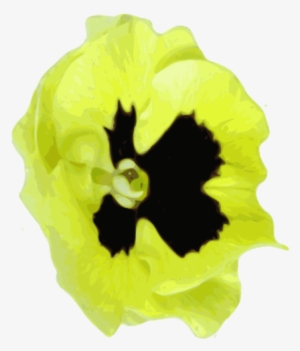 Small - Gelbes Schwarzes Pansy Stein-wurfskissen Kissen