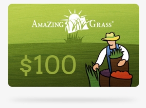 Amazing Grass Green Superfood Lemon Lime 7g