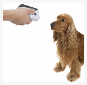 Barkstopper Ultrasonic & Audible Hand Held Bark