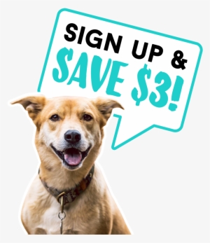 Signupandsave Cutout - Portable Network Graphics