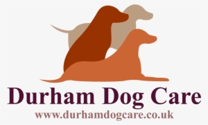 Durham Dog Training - Beyond The Blank Pages
