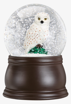 Great White Owl Snow Globe - Snow Globe