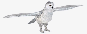 Snowyowl - Zt2 Download Library Owl