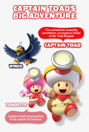 Captain Toad And Toadette's Search For Treasure Leads