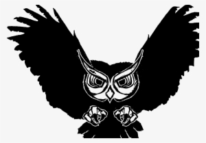 Snowy Owl - Owl Vinyl Wall Art Sticker, Black, Size Medium