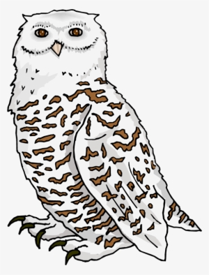 220 Snowy White Owl Stock Vector Illustration And Royalty - Snowy Owl Kids Sweatshirt