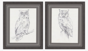 View Larger Image - Giclee Print: Owl Portrait Ii By Jennifer Goldberger