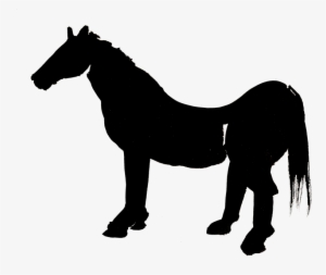 Pygmy Goat Clipart - Horse
