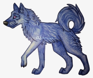 Blue Wolf Drawing By Aerwa On Deviantart