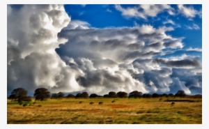 Sky Cumulus Cloud Rural Area - Cloud