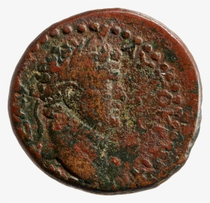 Bust Of Titus With Laurel Wreath - Coin