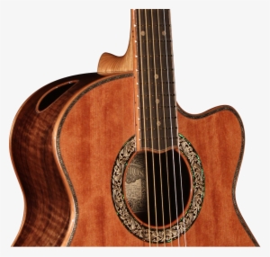 Sophisticated Appointments - Acoustic Guitar