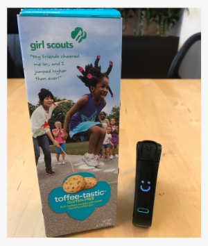 Gluten-free Girl Scout Cookies - Girl Scout Toffee-tastic Gluten Free Cookies 2 Boxes