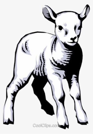 Lamb Royalty Free Vector Clip Art Illustration - Lamb Free Clipart