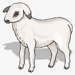 Lamb Svg Clip Arts 600 X 598 Px