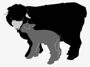 Lamb Clipart Club Lamb - Livestock Show Sheep Silhouette - 640x480 PNG ...