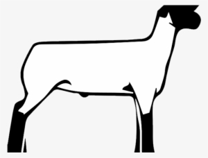 Lamb Clipart Club Lamb - Livestock Show Sheep Silhouette