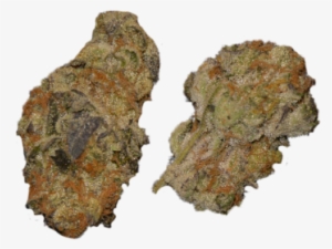 Girl Scout Cookies - Rock