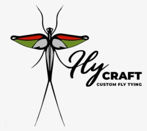 Peanut Hopper - Net-winged Insects