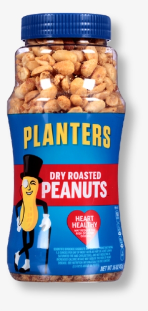 플랜터스 피넛 드라이로스티드 - Planters Dry Roasted Peanuts Lightly Salted 16 Oz