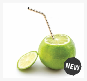 Eco Friendly Stainless Steel Straws - Steel