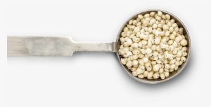 Where To Buy - Sorghum Bowl