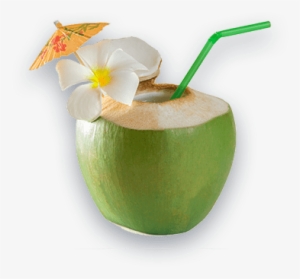 Aloha - Green Coconut With Straw