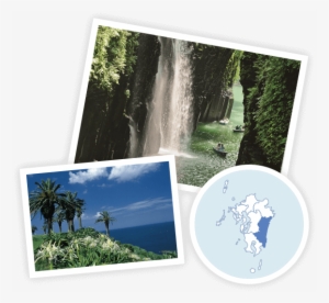 Miyazaki - Hayao Miyazaki