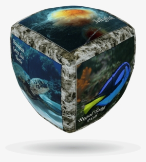 Sea World V-cube 2b - V-cube 2 Essential-sea World Cube (multi-colour)