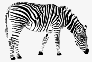 Zebra Africa Animal Black And White Zebra - Zebra Vector Png