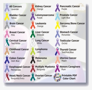 Saintshadle Cancer Awareness Bracelet; Cancer Sucks,