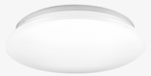 Led Ceiling Light Apollo