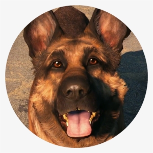 Dogmeat - Fallout 4 Dogmeat Png