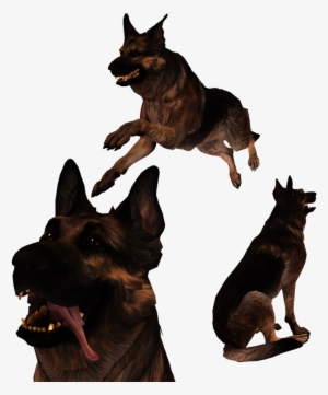 [mmd] Fallout 4 Dogmeat By Mist Of Wind Fallout, Mists - Fallout 4 Dogmeat Png