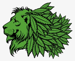Cannabis