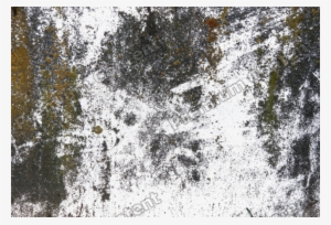 Dirty Decals - Artist