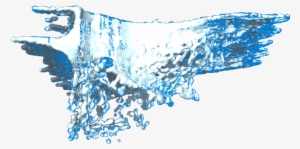 06 Feb 2009 - Illustration