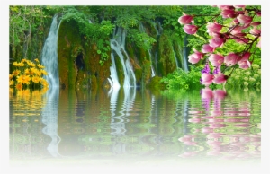 Waterfall, Water, Landscape, Nature, Waters, River - Japanese Massage (reflexology)