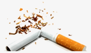 No Ifs, And Or Butts - Broken Cigarette