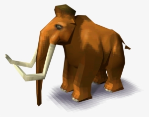 Download Zip Archive - Indian Elephant