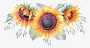Green Watercolor Hand Painted Sunflower Transparent - Girassol Png Convites