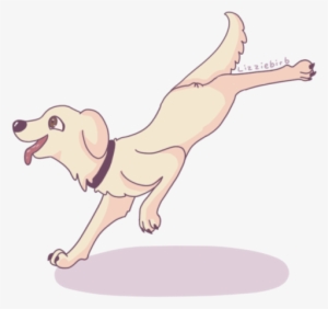 Dog Catches Something