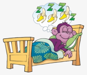 Purple Monkey Hostel