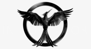 ''hope Is The Only Thing Stronger Than Fear''im A Brazilian - Hunger Games White Background