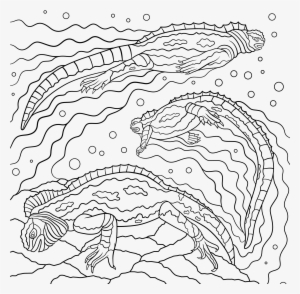 "sea Iguana" 1 Of 60 Pages - Book