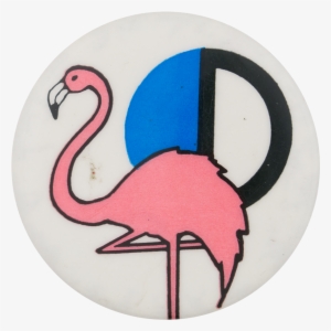 Pink Flamingo - Greater Flamingo