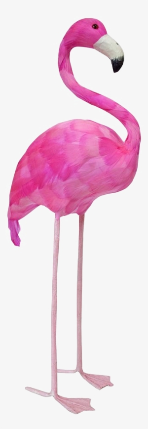 Flamingo Png Image - Flamingo Props