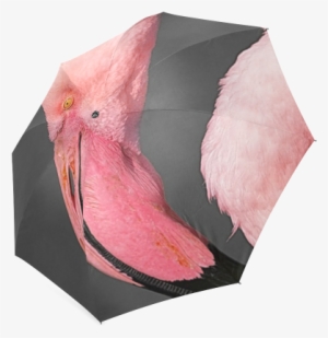Pink Flamingo Head Foldable Umbrella - Umbrella